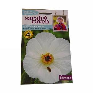 Sarah Raven Wildlife Collection Argemone Platycerus Prickly Poppy