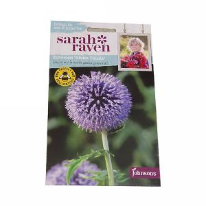 Sarah Raven Wildlife Collection Echinops Globe Thistle