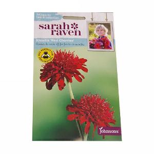 Sarah Raven Wildlife Collection Knautia Red Cherries