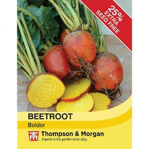 Thompson & Morgan Beetroot Boldor