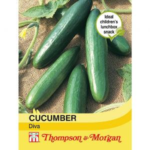 Thompson & Morgan Cucumber Diva