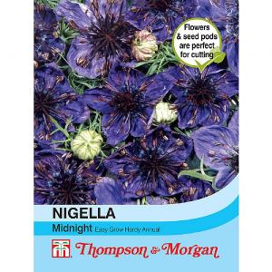 Thompson & Morgan Nigella Midnight