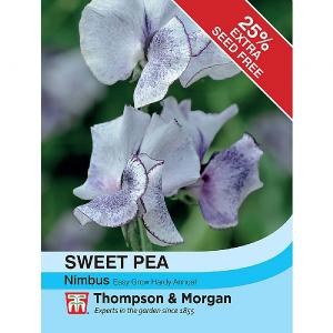 Thompson & Morgan Sweet Pea Nimbus 