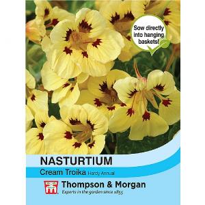 Thompson & Morgan Nasturtium Cream Troika 