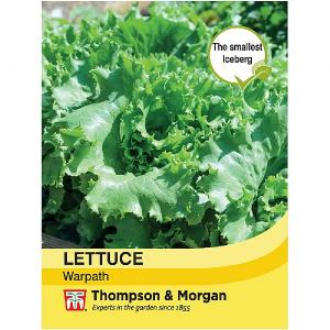 Thompson & Morgan Lettuce Warpath