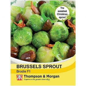 Thompson & Morgan Brussels Sprout Brodie F1 Hybrid
