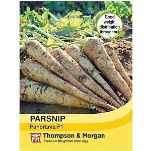 Thompson & Morgan Parsnip Panorama F1 Hybrid Seeds