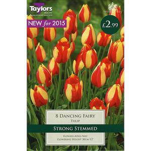 Tulip Dancing Fairy (8 Bulbs)