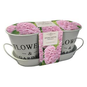 Hyacinth Fondant Pink Metal Duo Planter