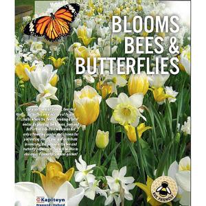Blooms, Bees & Butterflies - White and Yellow Shades