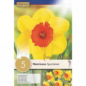 Narcissus 'Sportsman' (5 Bulbs)