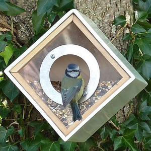Urban Bird Feeder Box