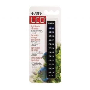 Marina Minerva Digital Thermometer C/F
