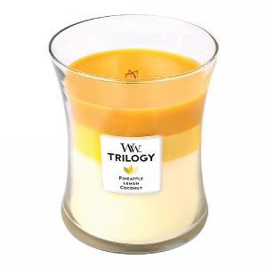 Woodwick Fruits of Summer Trilogy Medium Candle