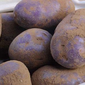 Blue Danube Main Crop Seed Potatoes 2kg