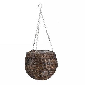 Smart Garden Hyacinth Hanging Ball - Dark - 9''