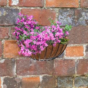 Smart Garden Smart Wall Basket - 16''