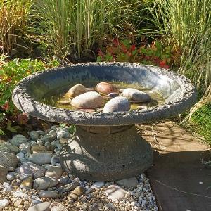 Wildlife World Coniston Bird Bath