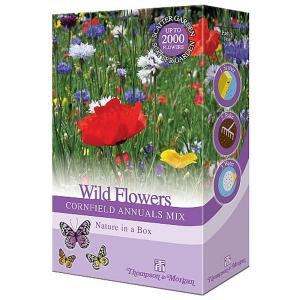 Wildflowers Cornfield Annual Mix Scatter Pack