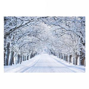 Snowy Woodland Street LED Canvas 40x30cm