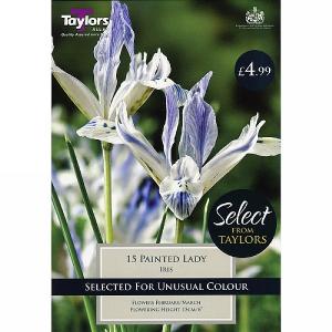 Iris Painted Lady (15 Bulbs)
