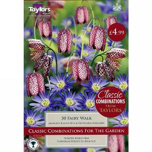 Fairy Walk Classic Combinations (50 Bulbs)