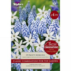 Frosty Morning Classic Combinations (25 Bulbs)