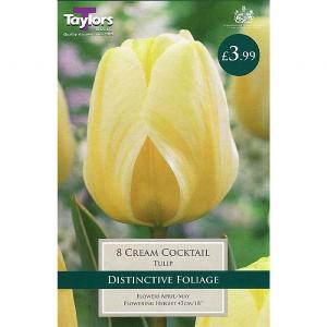 Tulip Cream Cocktail (8 Bulbs)