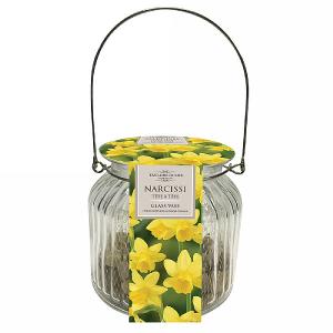 Narcissi Tete a Tete Indoor Glass Vase