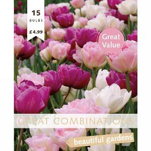 Great Combination Tulip Double Pink, Purple & White (15 Bulbs)