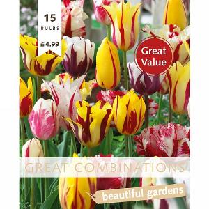 Great Combination Tulip Fireworks (15 Bulbs)