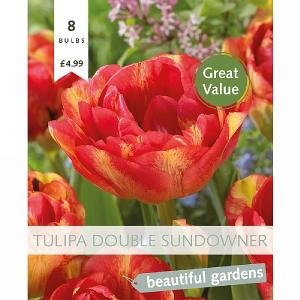 Tulip Double Sundowner (8 Bulbs)