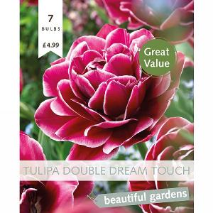 Tulip Double Dream Touch (7 Bulbs)