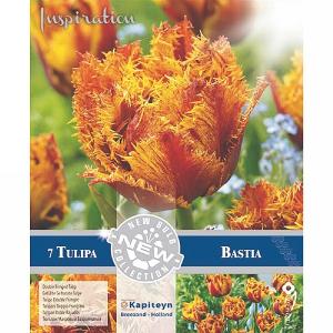 Tulip Double Fringed Bastia (7 Bulbs)