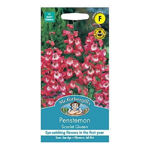 Mr Fothergills Penstemon Scarlet Queen Seeds