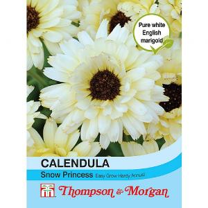 Thompson & Morgan Calendula Snow Princess