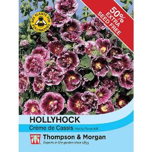 Thompson & Morgan Hollyhock Creme De Cassis