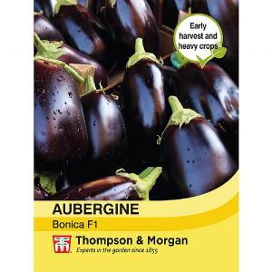 Thompson & Morgan Aubergine Bonica