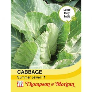 Thompson & Morgan Cabbage Summer Jewel F1 Hybrid