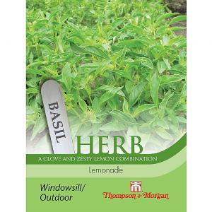 Thompson & Morgan Herb Basil Lemonade Seeds