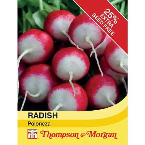 Thompson & Morgan Radish Poloneza