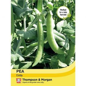 Thompson & Morgan Pea Eddy Seeds