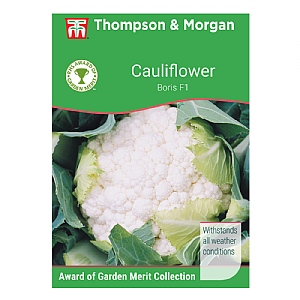 Thompson & Morgan Award of Garden Merit Cauliflower Boris F1 Hybrid