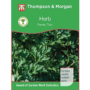 Thompson & Morgan Award of Garden Merit Herb Parsley Titan