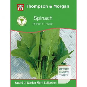 Thompson & Morgan Award of Garden Merit Spinach Mikado F1 Hybrid