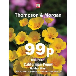 Thompson & Morgan Californian Poppy Golden West 