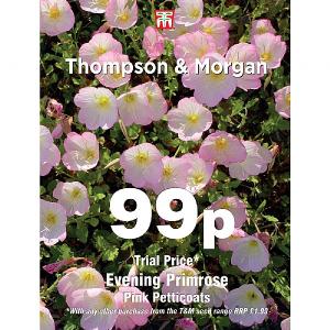 Thompson & Morgan Evening Primrose Pink Petticoats 