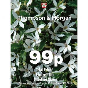 Thompson & Morgan Laurentia Shooting Stars 