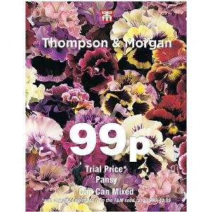 Thompson & Morgan Pansy Can Can Mixed