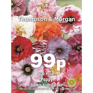 Thompson & Morgan Poppy Double Angels Choir 